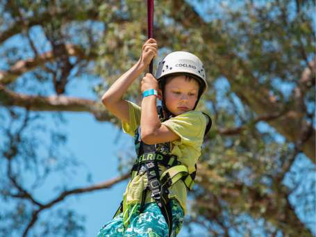 Flying fox