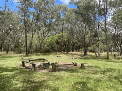 Bush_Area_2