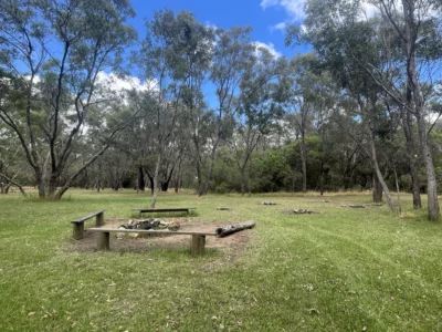 Bush_Area_1