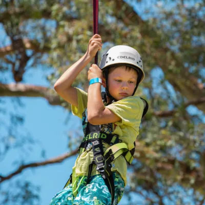 Flying fox