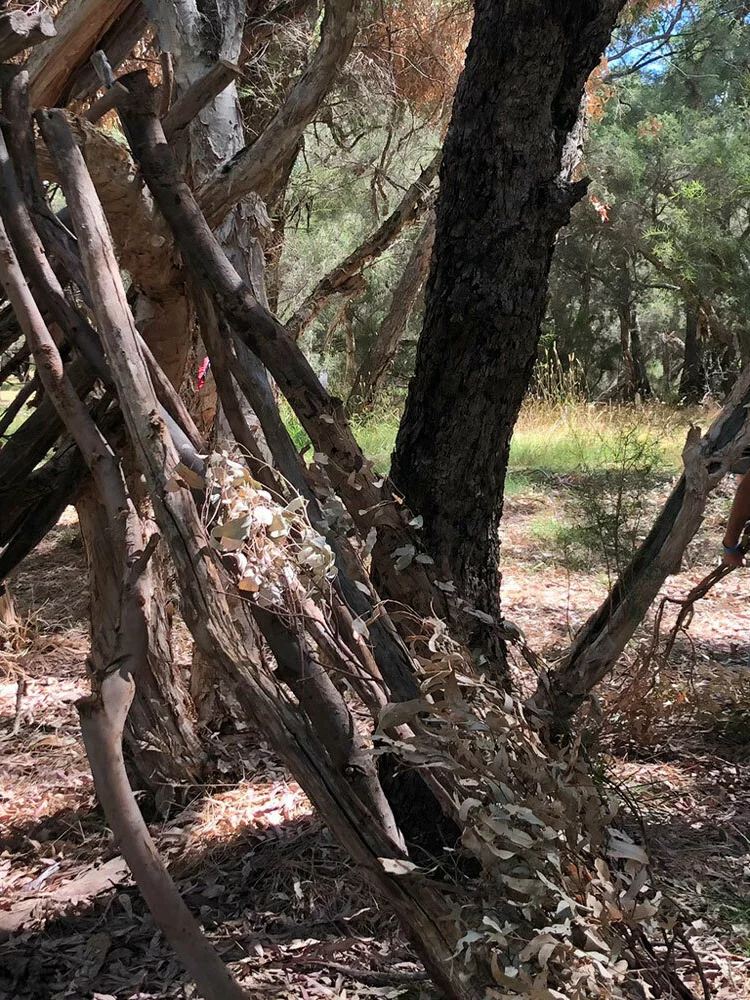 Swan Valley Adventure Centre Bush Craft