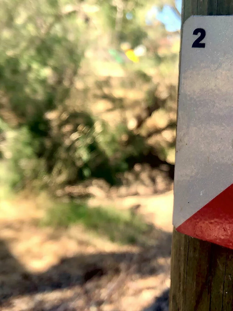 Swan Valley Adventure Centre Orienteering