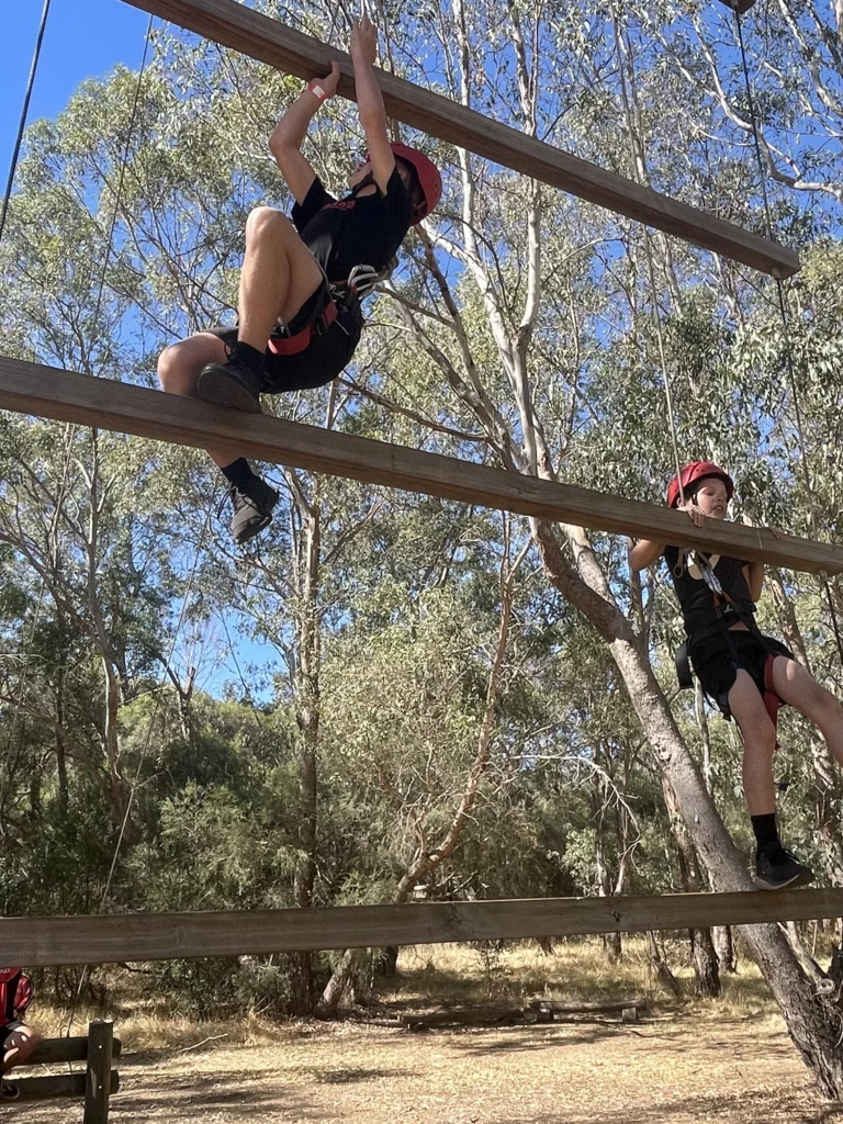 Jacobs Ladder