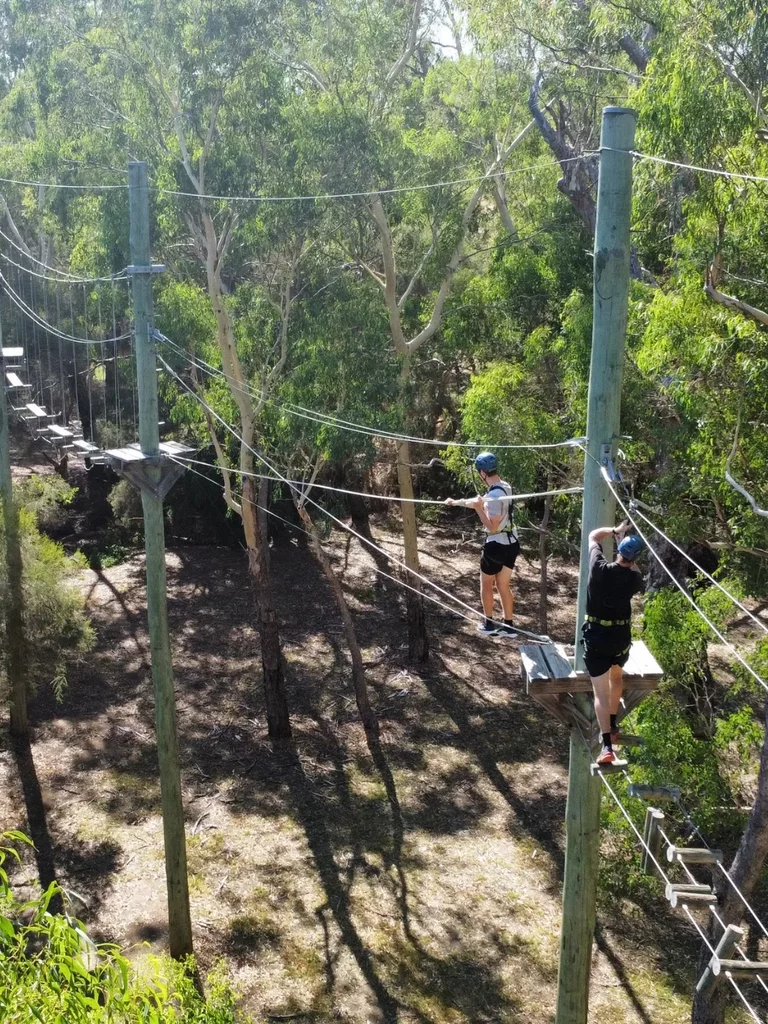 High ropes 2